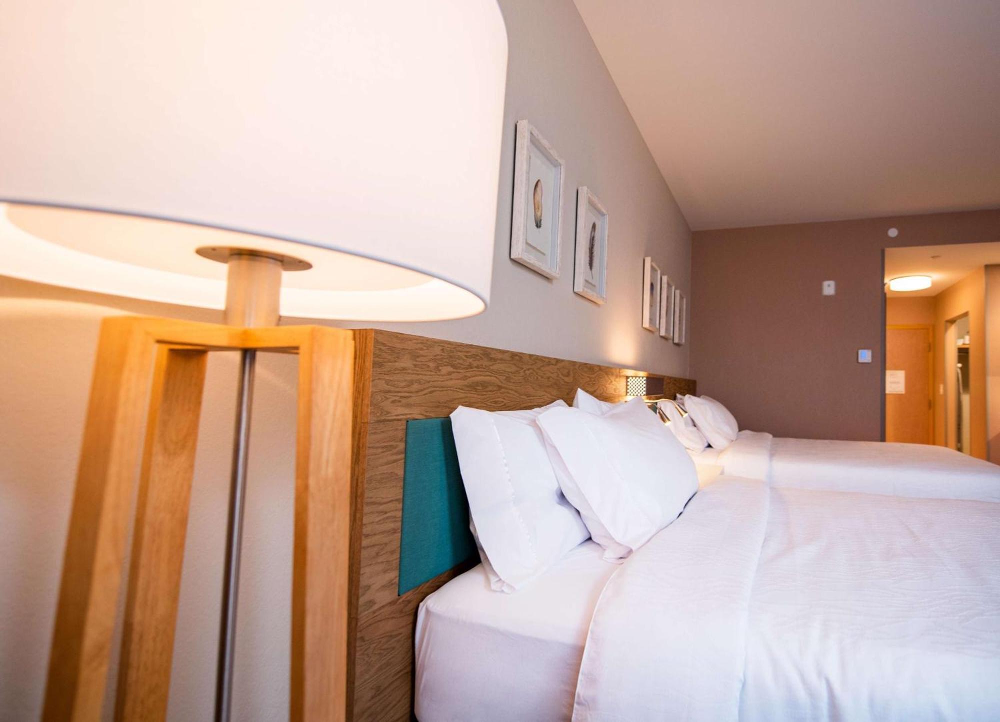 Hilton Garden Inn Moncton Downtown, Nb エクステリア 写真